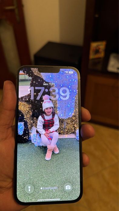 Iphone13 pro max 256 gb