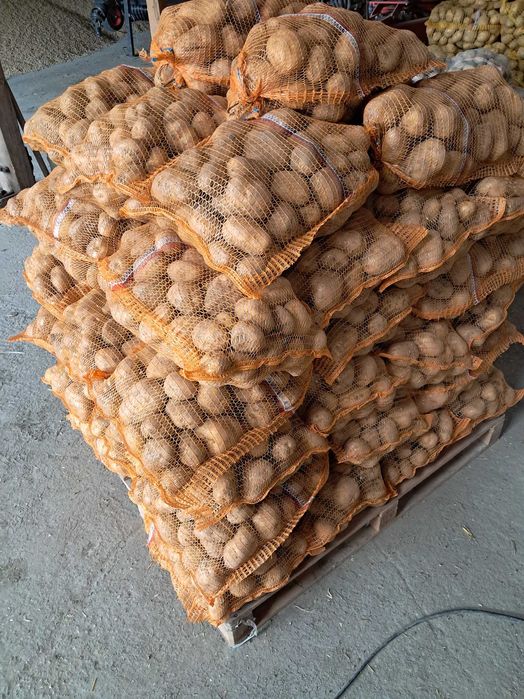 Sprzedam ziemniaki denar