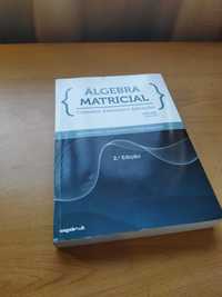 Álgebra Matricial - Conceitos, Exercícios e Aplicações
2ª Edição