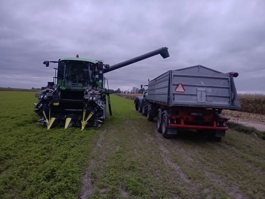 Zbiór, koszenie kukurydzy na ziarno