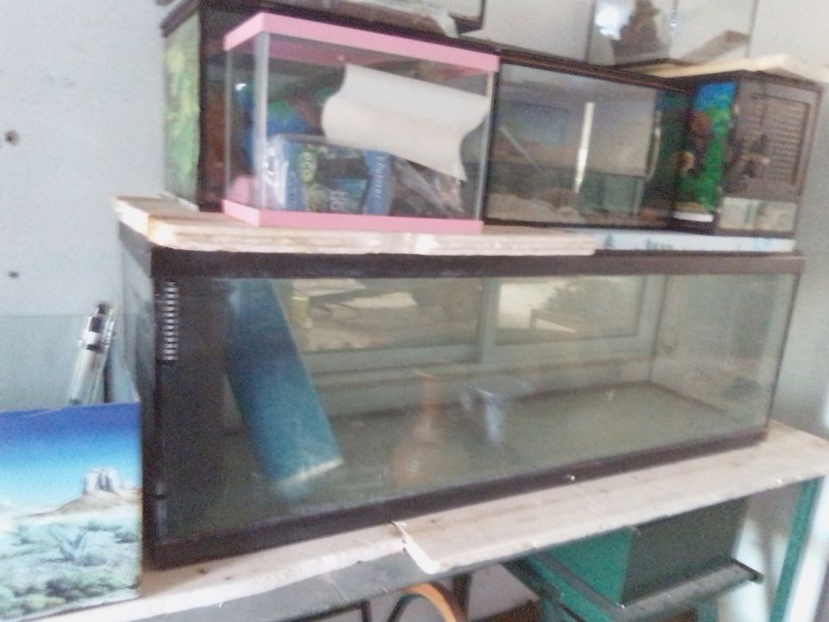 Aquários 1 metro /criação