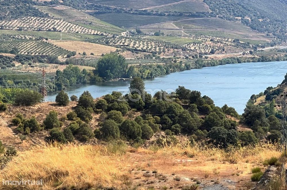 Terreno Panorâmico 11.745 m² no Douro - em Trás-os-Montes
