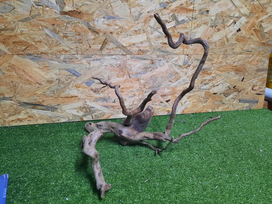 Korzeń do akwarium Red Moore Wood nr 887 o wymiarach 34/36/37