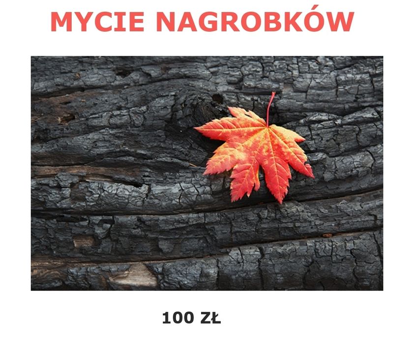 NAGROBEK MYCIE STAŁA CENA 100PLN Mycie, odchwaszczanie, zamiatanie