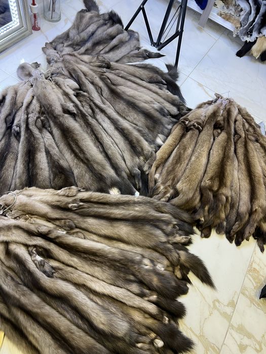 Хутро соболя ,шкури соболя