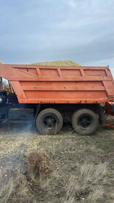Щепа древесная твьордых пород