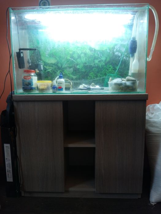 Аквариум 120 литров з тумбою [ціна за все що на фото]