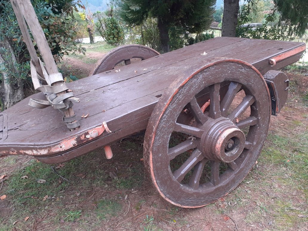 Carro de bois antigo