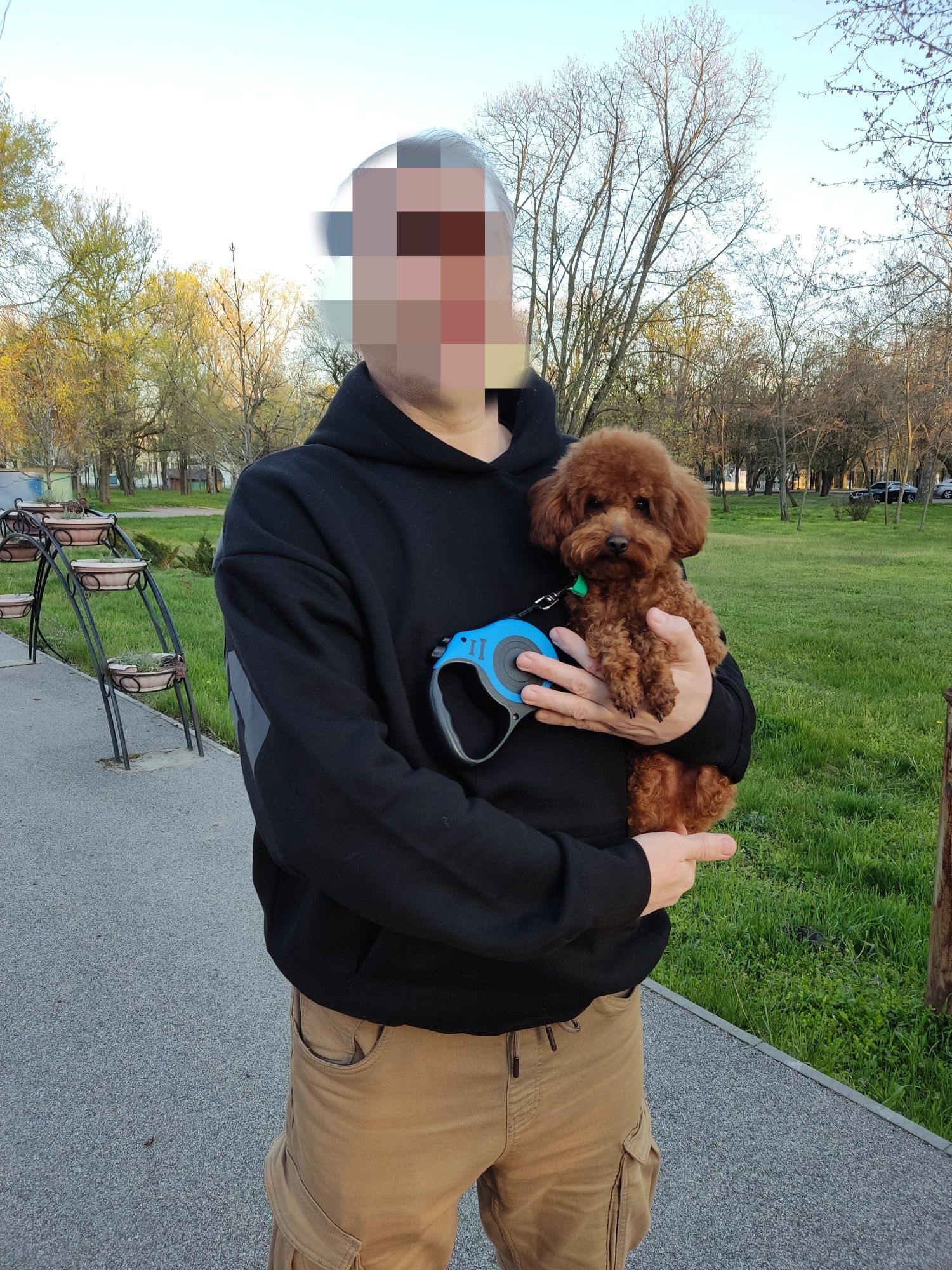 Той пудель, тіеап, хлопчик