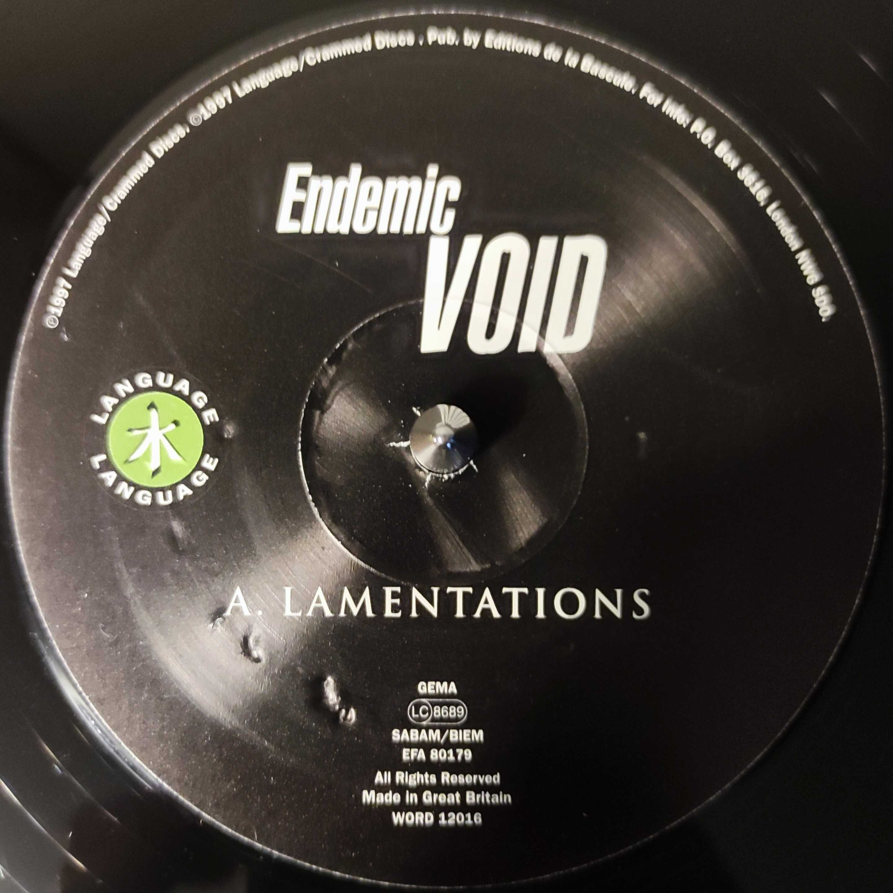 Endemic Void - Lamentations / False Move