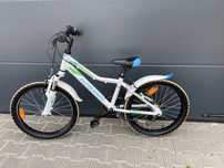 Rower Kross Lea 2.0 20 cali