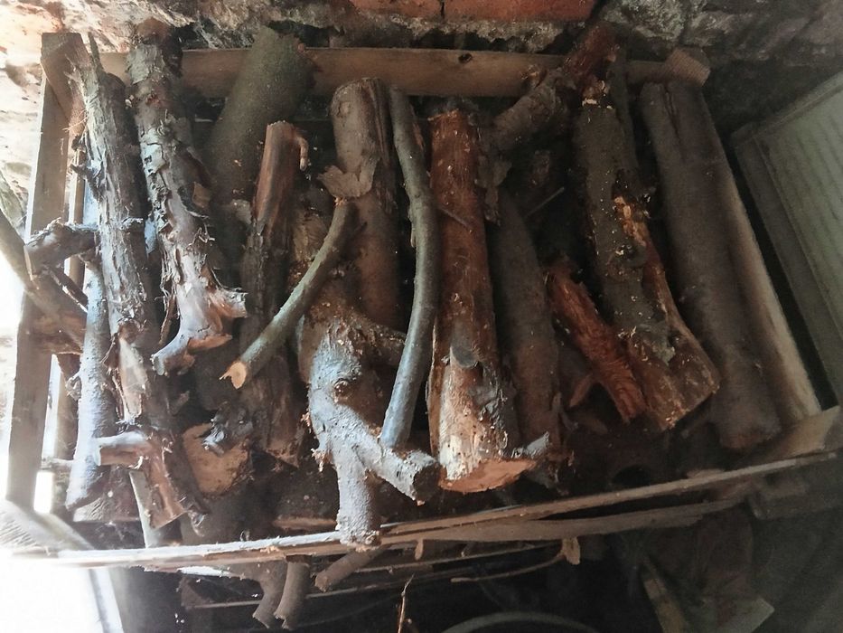 Drewno do wędzenia Jabłoń