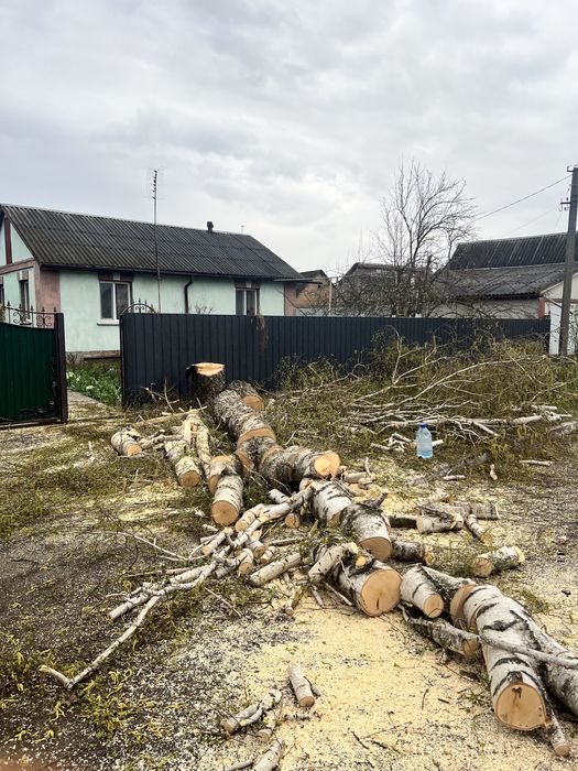 Зрізання аварійних дерев , чистка великих ділянок , різання дров