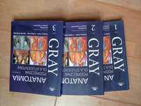 Anatomia Gray 3 tomy