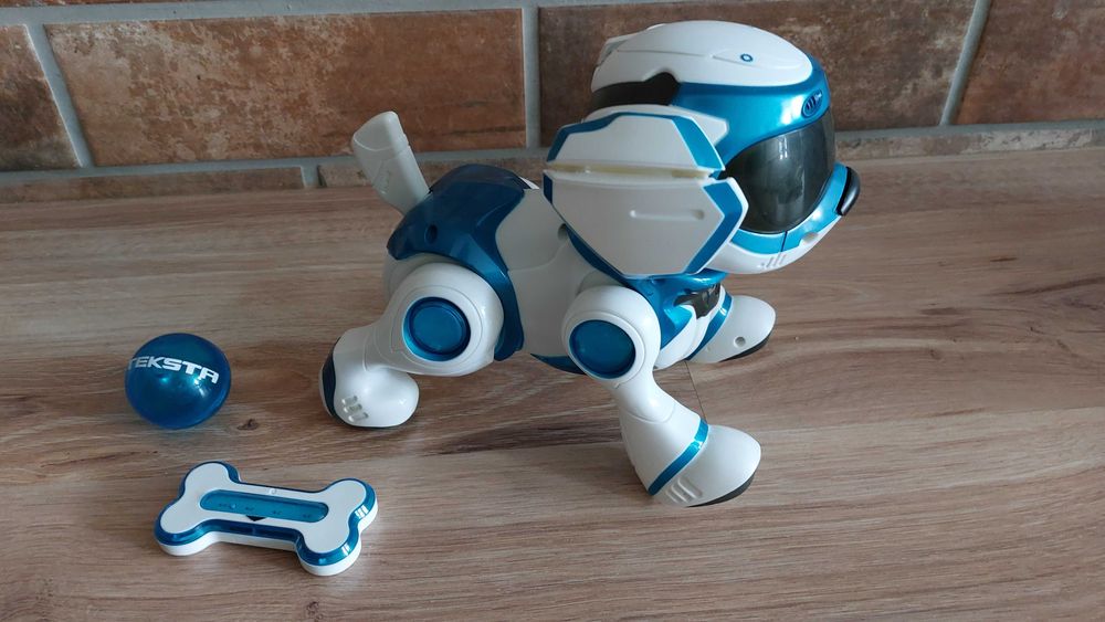 TEKSTA Robopiesek interaktywny