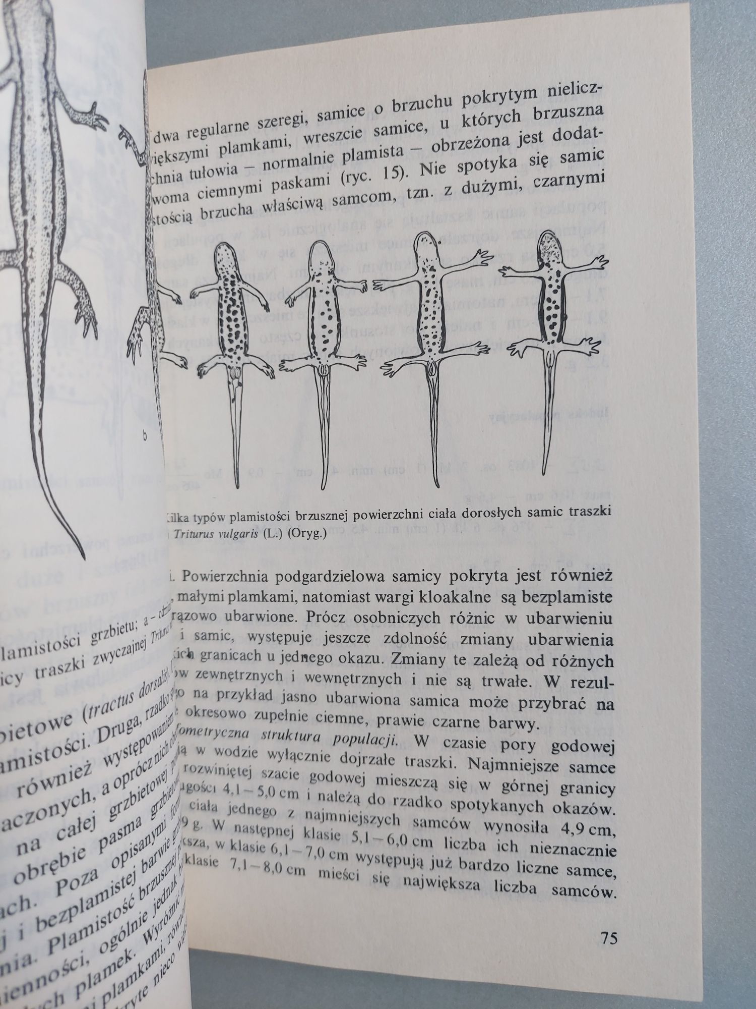Płazy i gady krajowe - Włodzimierz Juszczyk. Dwa tomy