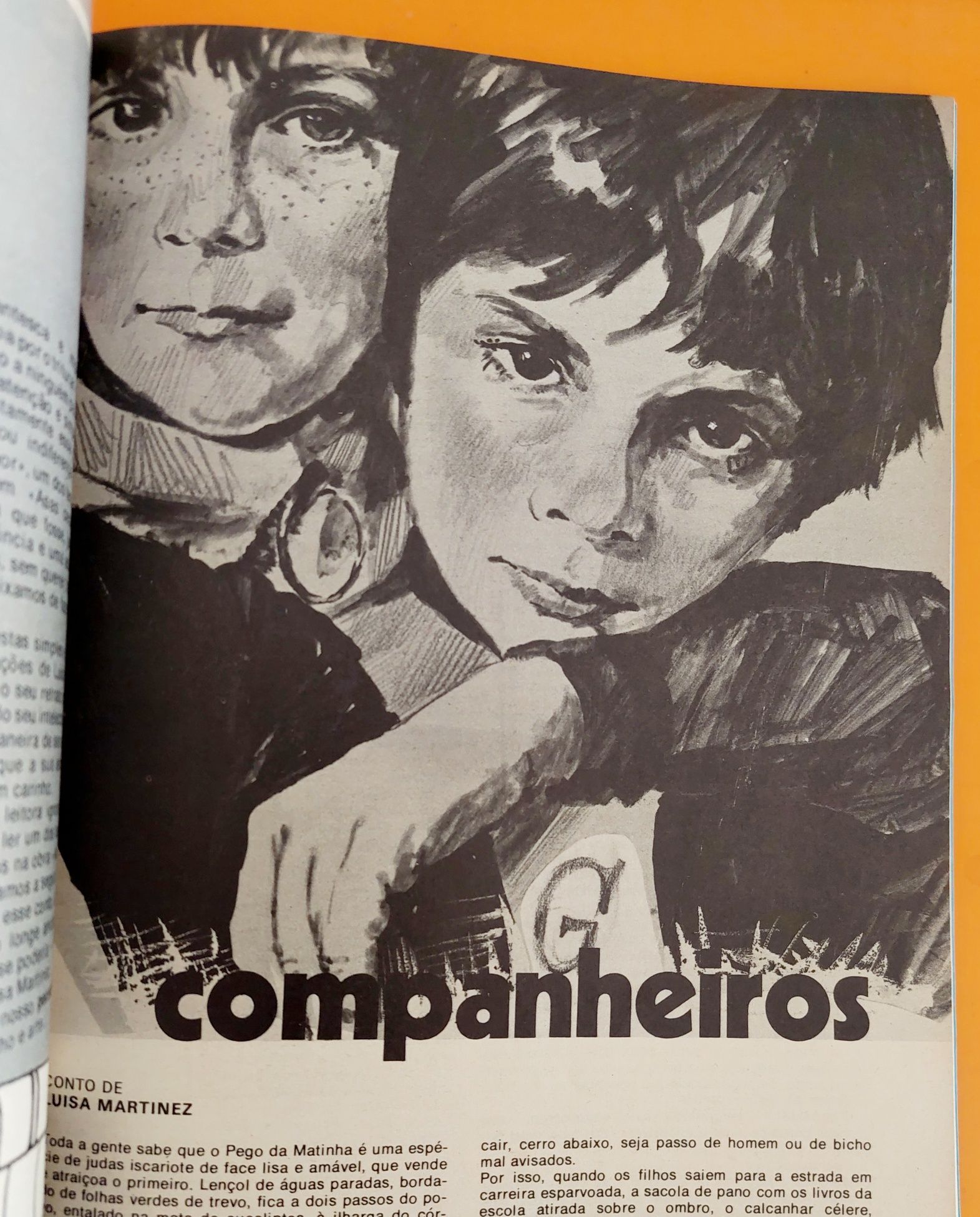 Companheiros - Luísa Martinez