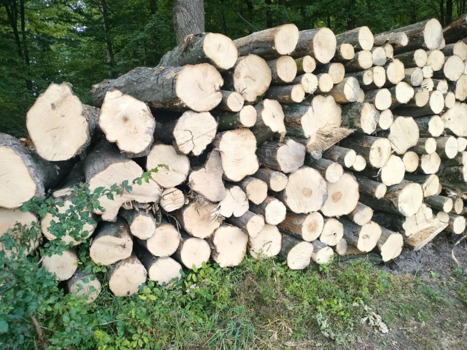 Drewno opałowe liściaste i iglaste