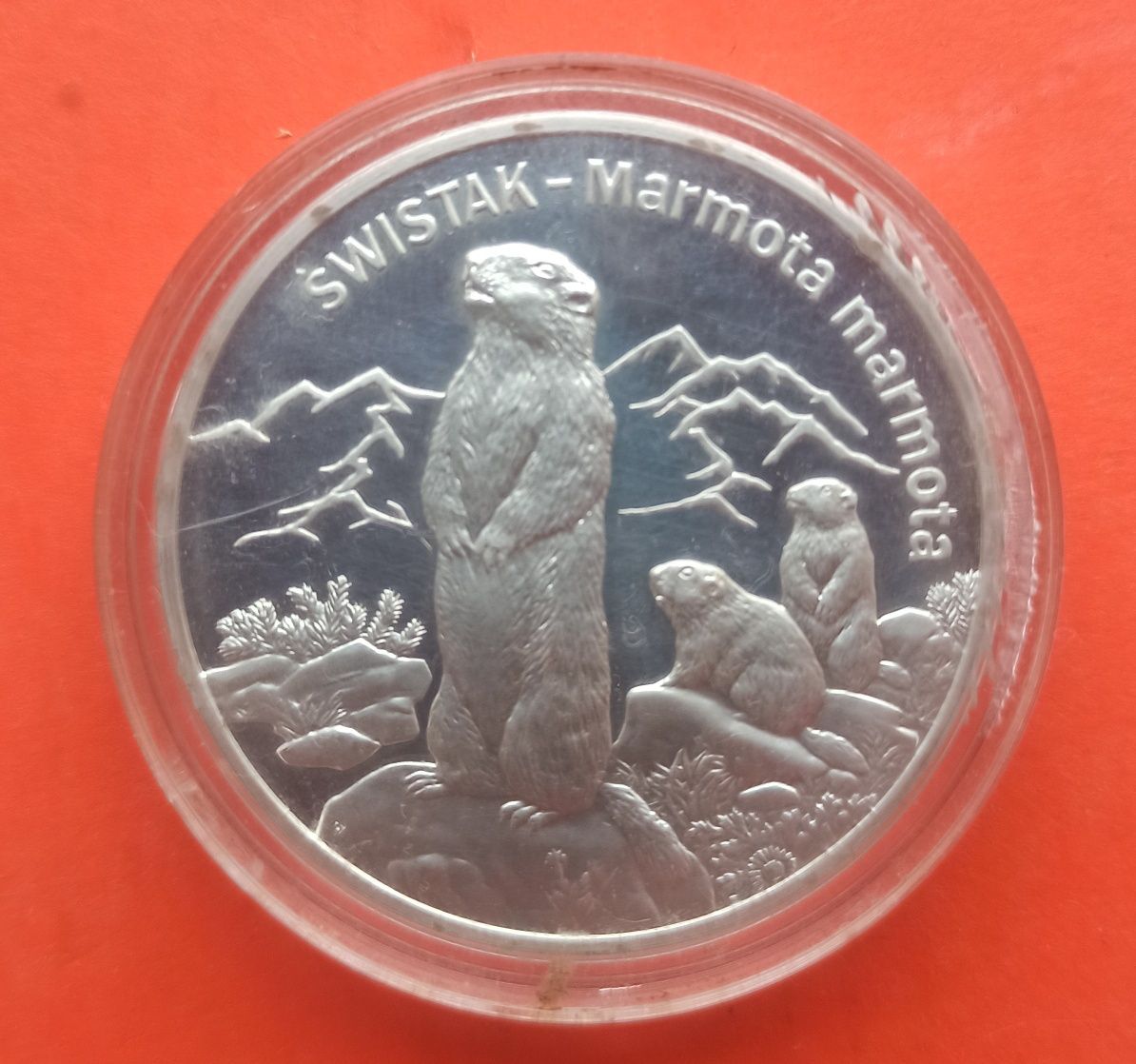 20 злотых  2006 р сурок
2006
Сурок