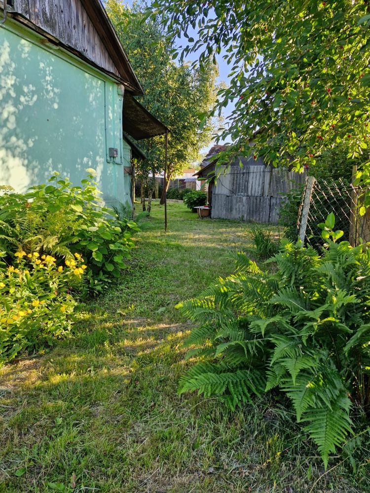 Siedlisko blisko miasta 24 a