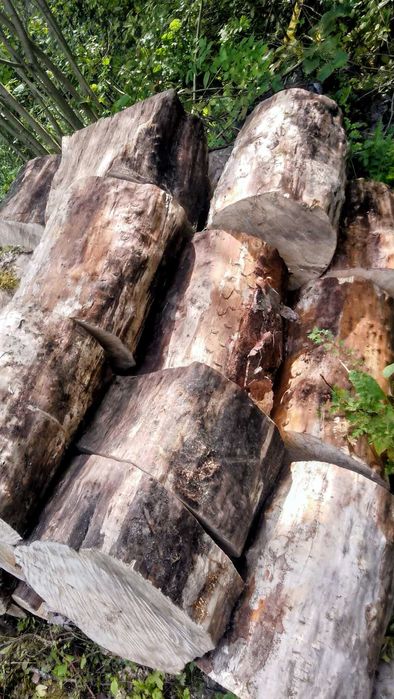 Drewno Kominkowe/opałowe, z Transportem Tanio!! dąb, buk/brzoza/sosna/