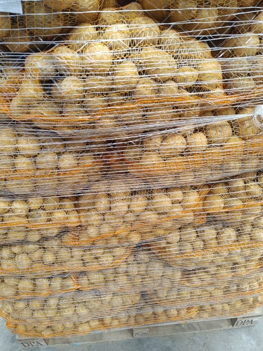 Ziemniaki kal od 3 do 5 Natalia Michalina corina