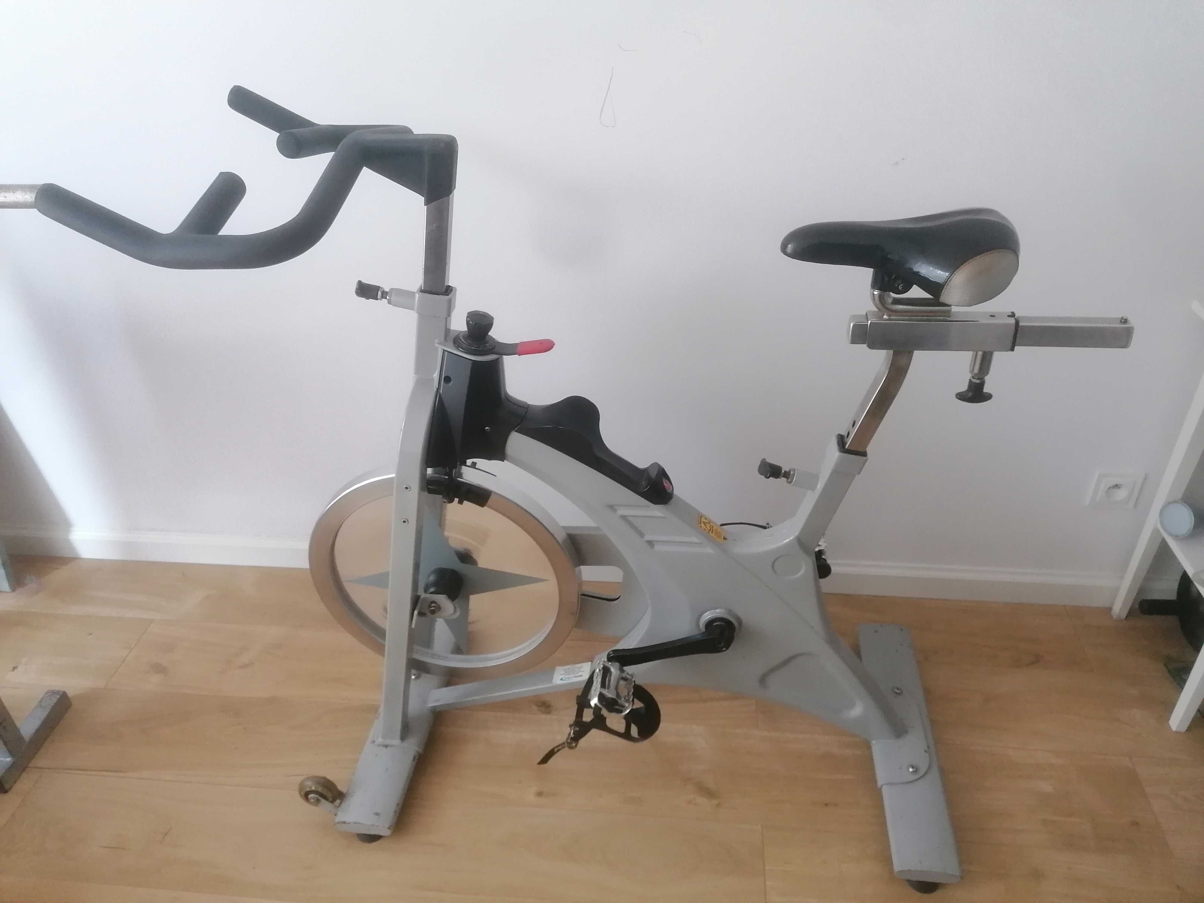 Rower Spinningowy Schwinn