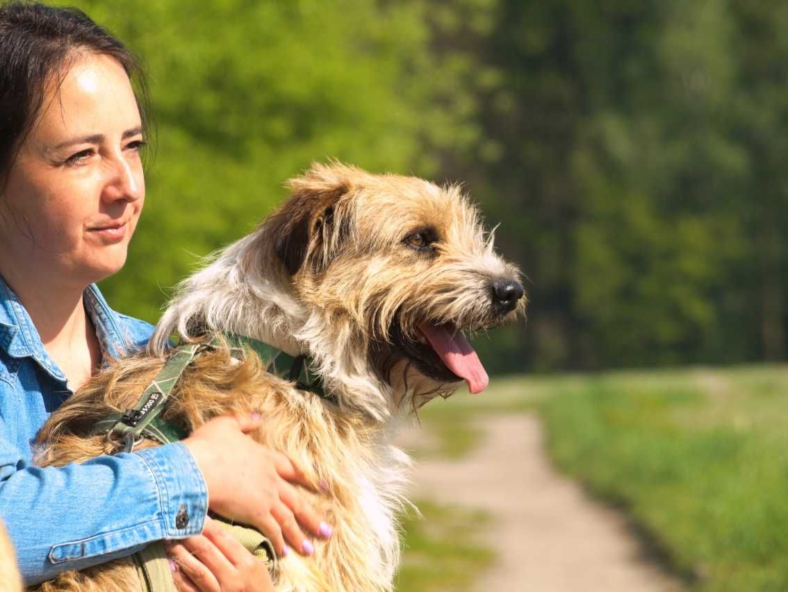 Famiś - kosmaty, kochany psiaczek wypatruje swojej rodziny!