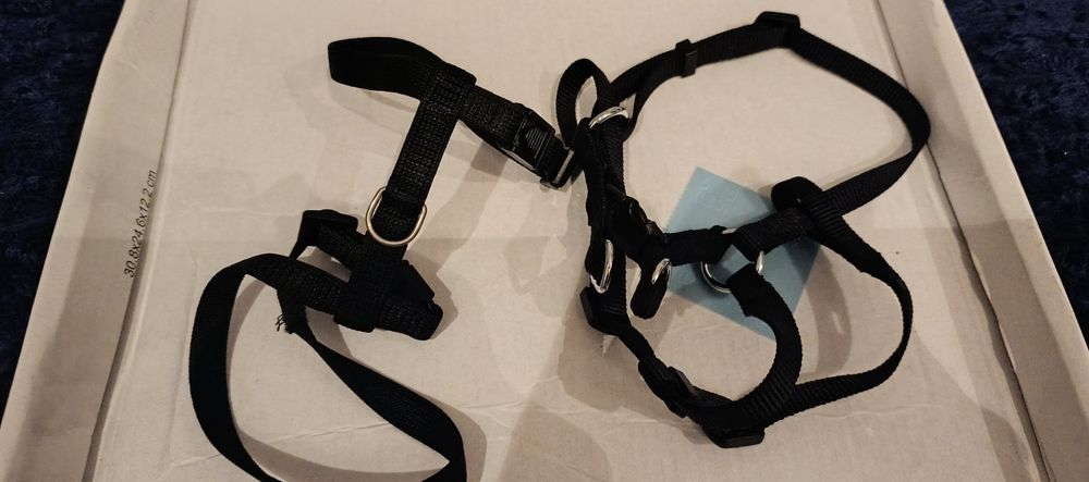 Szelki dla kota lub dla jednego zwierzaczka