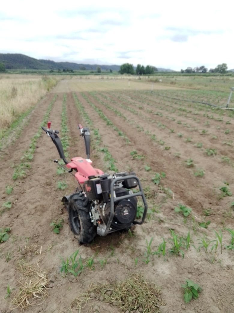 Motocultivador a Diesel