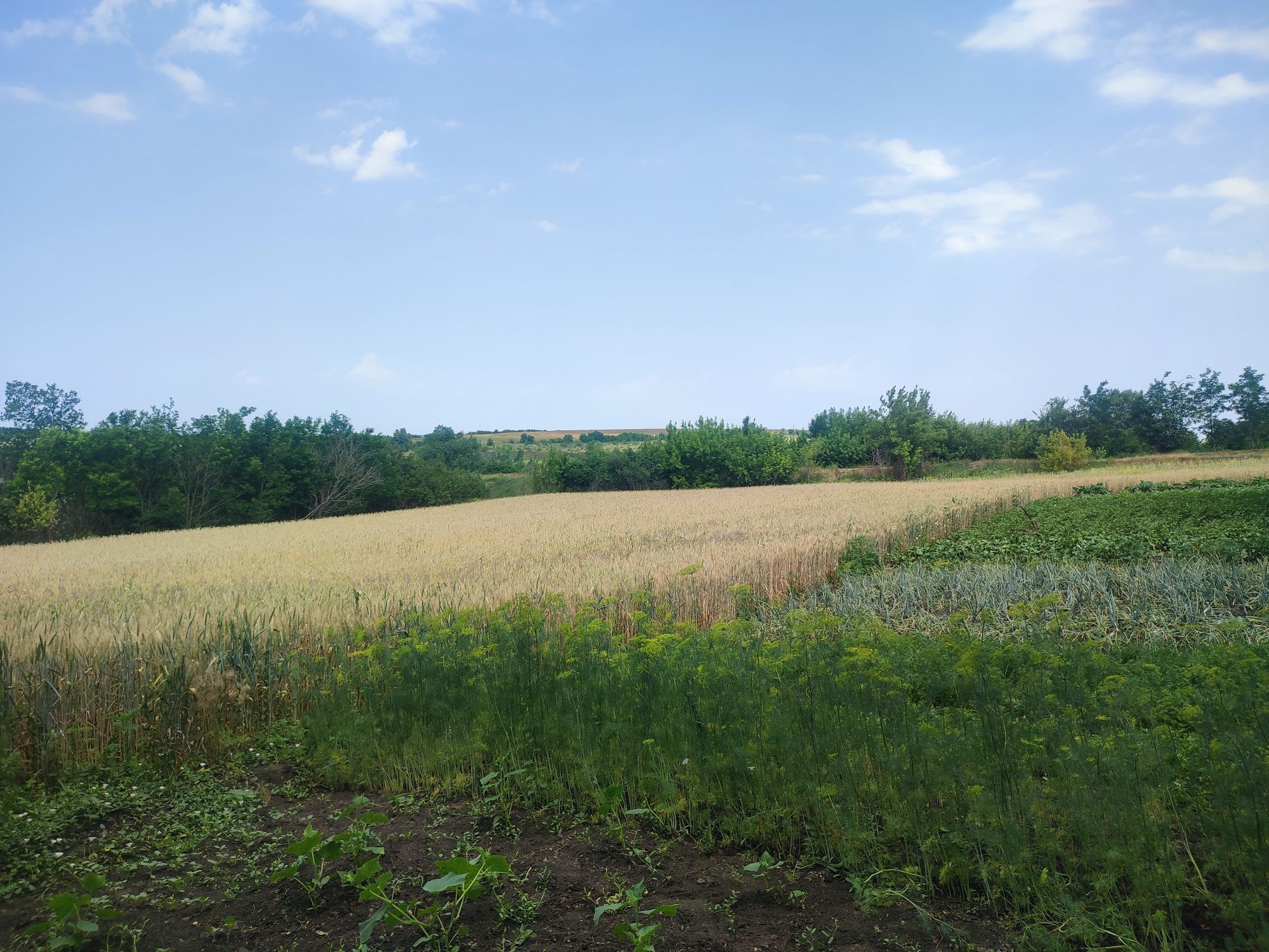 Продам будинок с.Новокарбівка,Одеська область.