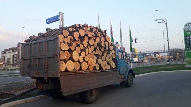 Безкоштовна доставка дрова твердих порід в Одесі та області!