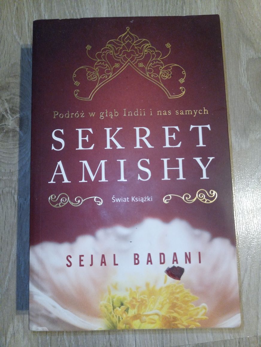 Sekret Amishy - Sejal Badani