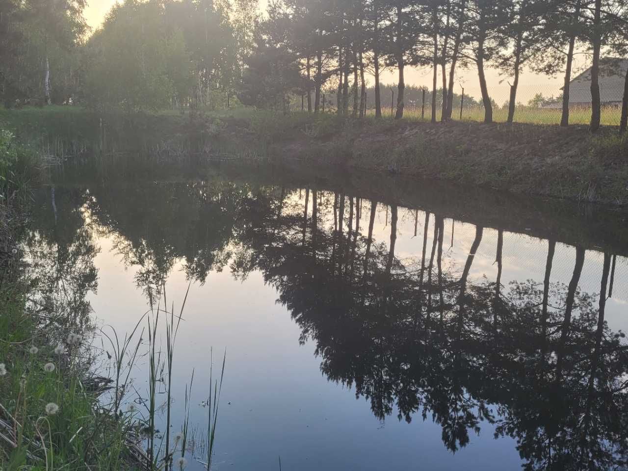 Domek nad stawem, Sochaczew - Mazowieckie