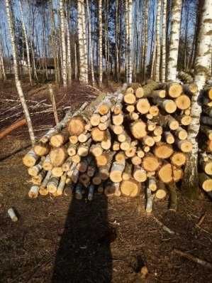 Drewno opałowe, brzoza