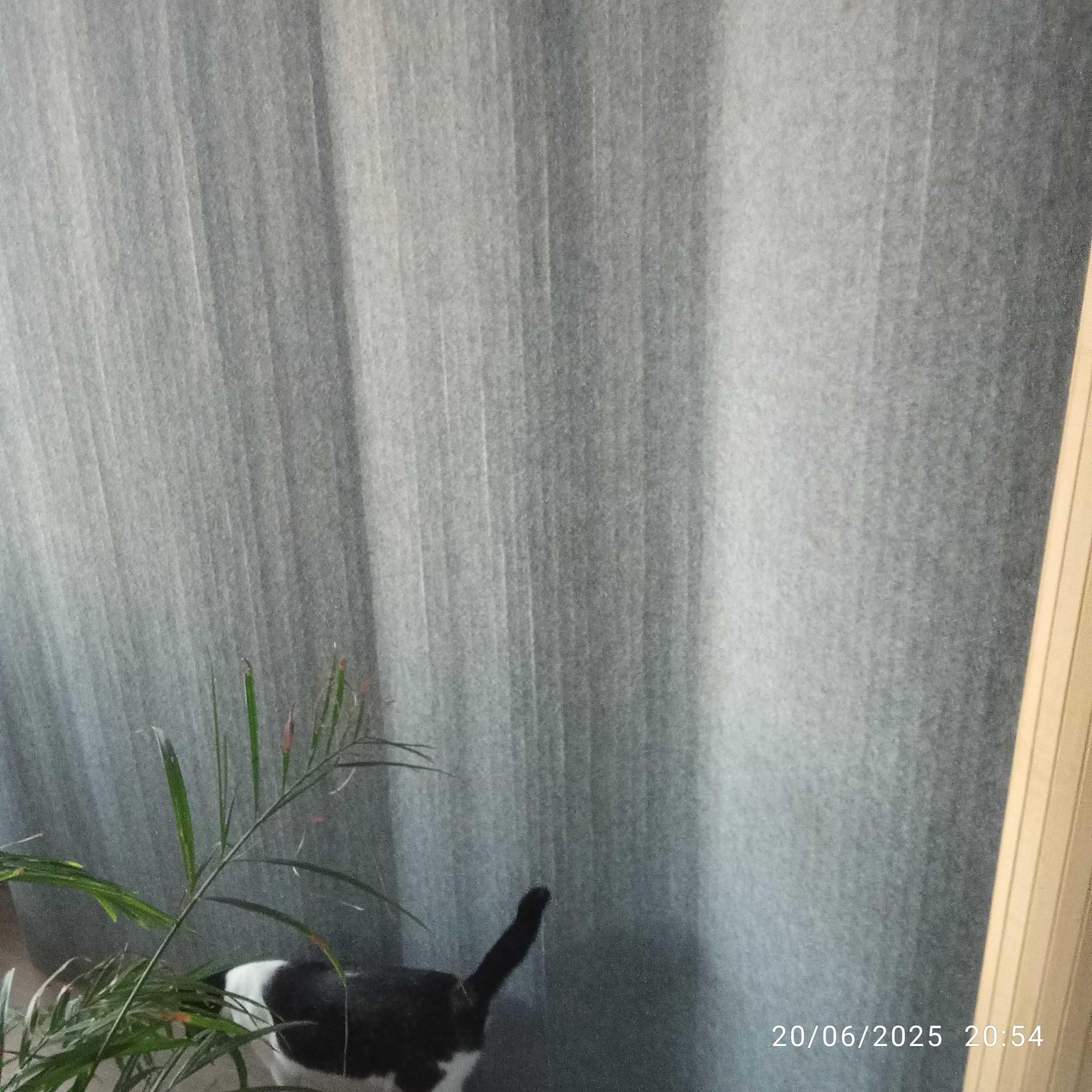 Vendo biombo madeira natural / tecido novo alt. 165cm / comp. 240cm
