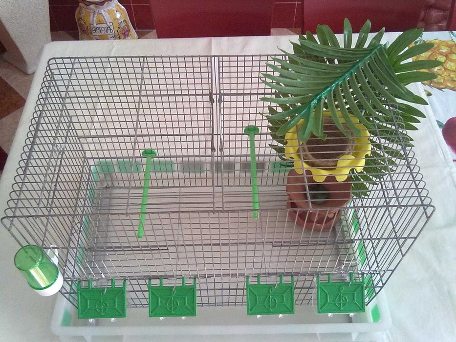 Viveiro de criação completo