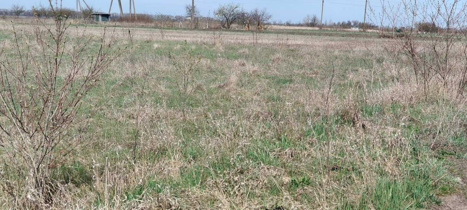 (7) Продам земельну ділянку смт. Турбів 1129