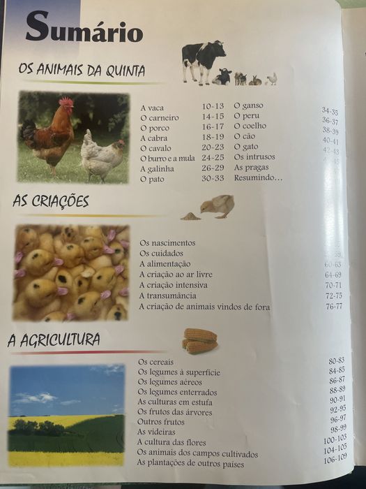 Tudo sobre a Quinta