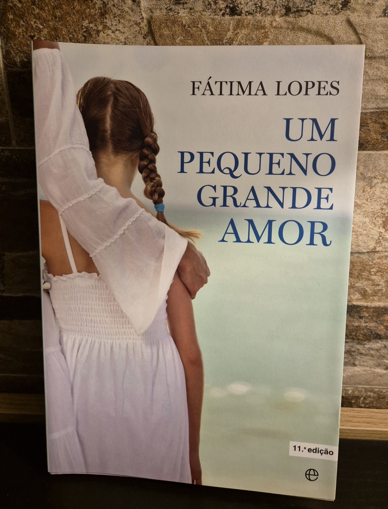 Livro Um Pequeno Grande Amor - 11° Edição