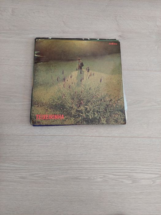 Discos de vinil grandes