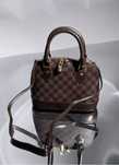 Torebka Louis Vuitton
