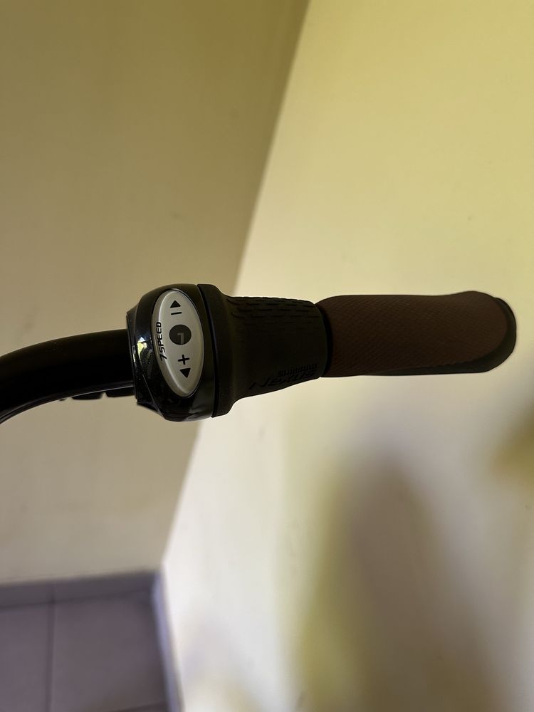 Rower Maxim Classico 333