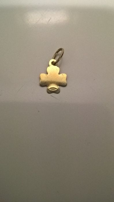 Pendente trevo (portes incluídos)