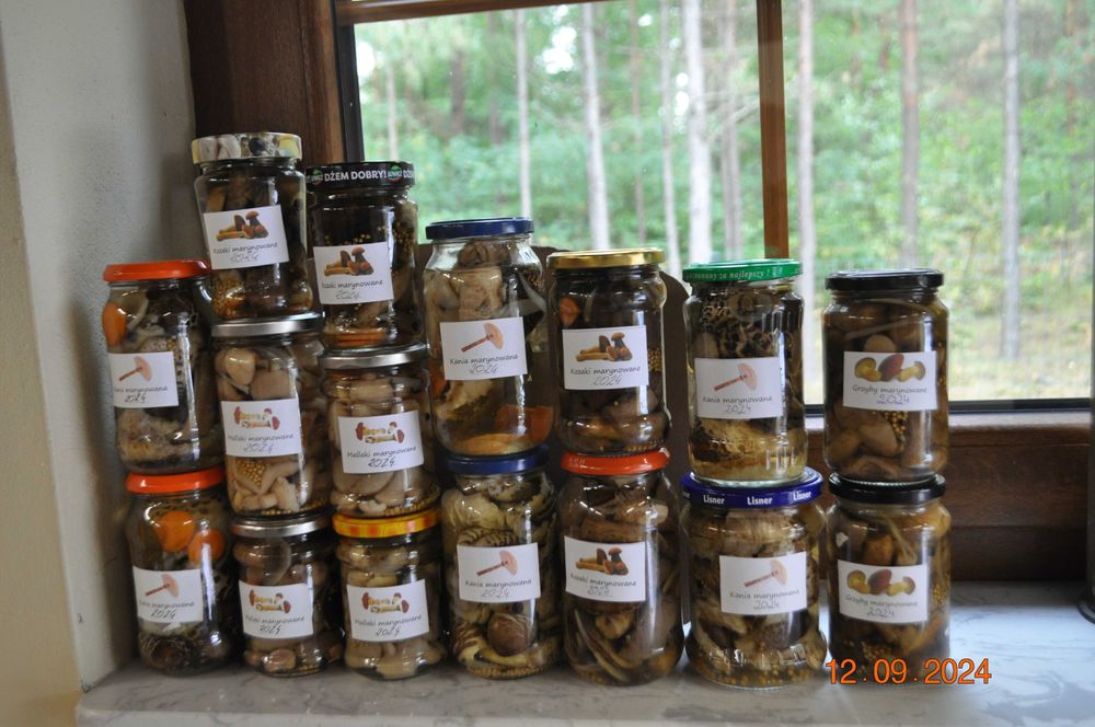 Grzyby marynowane maślaki kozaki podgrzybki rydze kanie ZBIÓR 2025