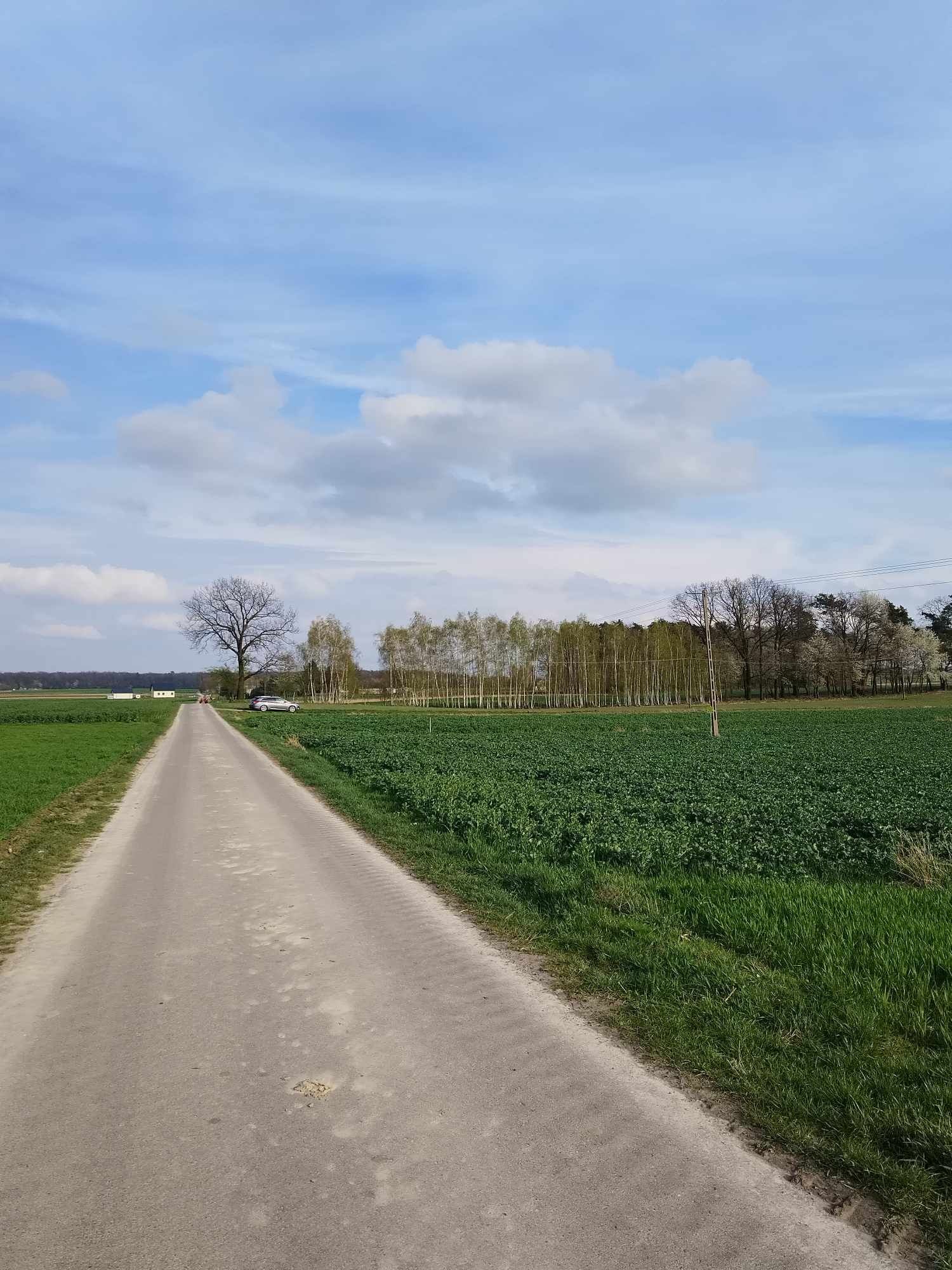 Atrakcyjne działki w miejscowości Wilczopole-Kolonia gm. Głusk