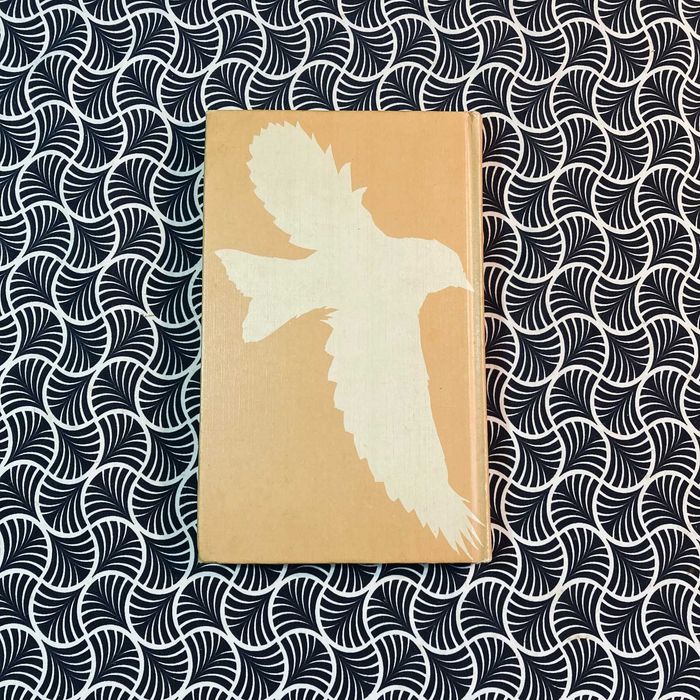 Passarinhos - Anais Nin