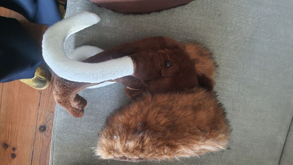 troféus em Peluches para parede - Quarto de criança