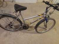 Rower Romet MTB ECO