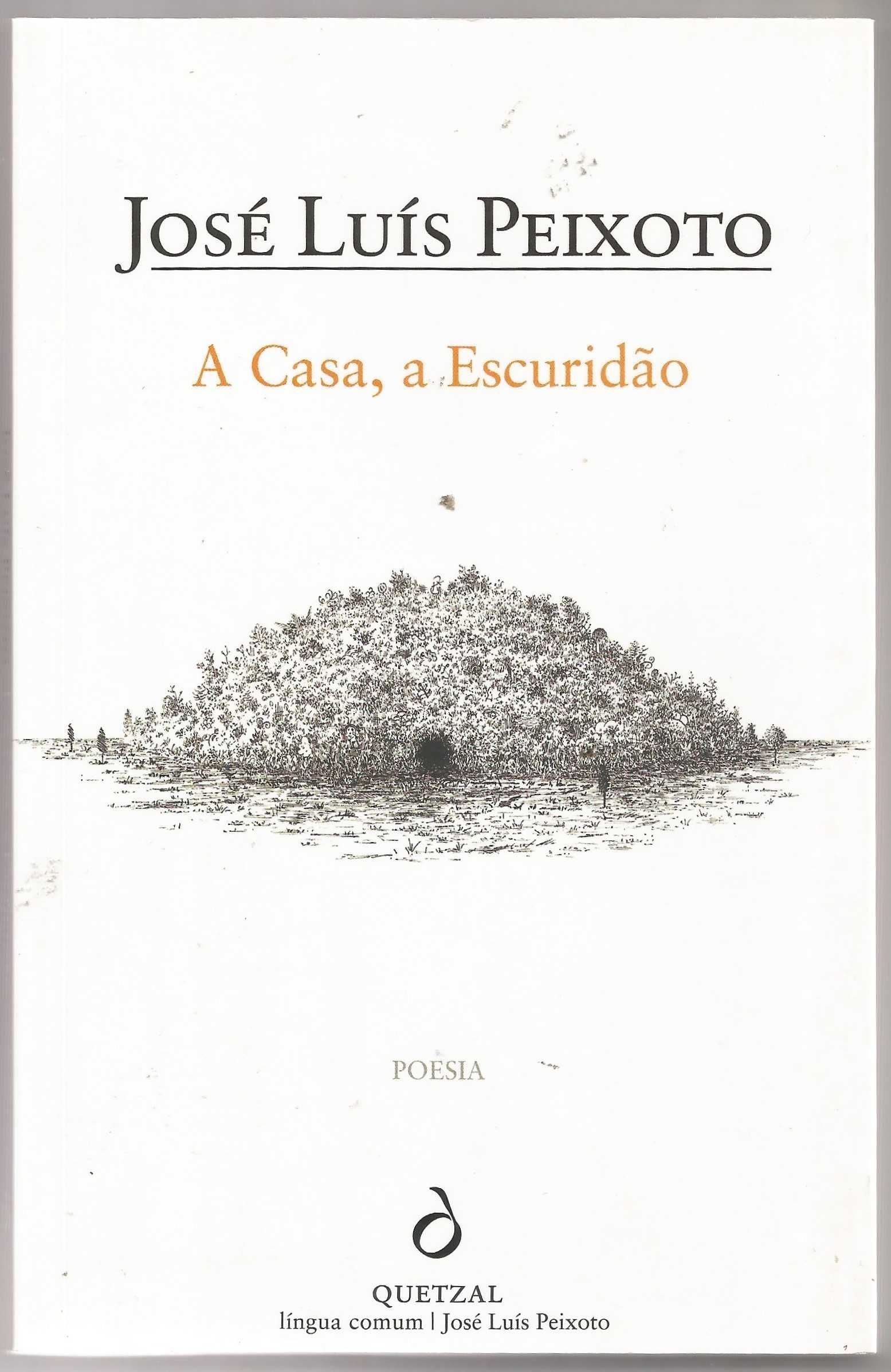 José Luís Peixoto - A casa, a escuridão (poesia) - Portes Grátis